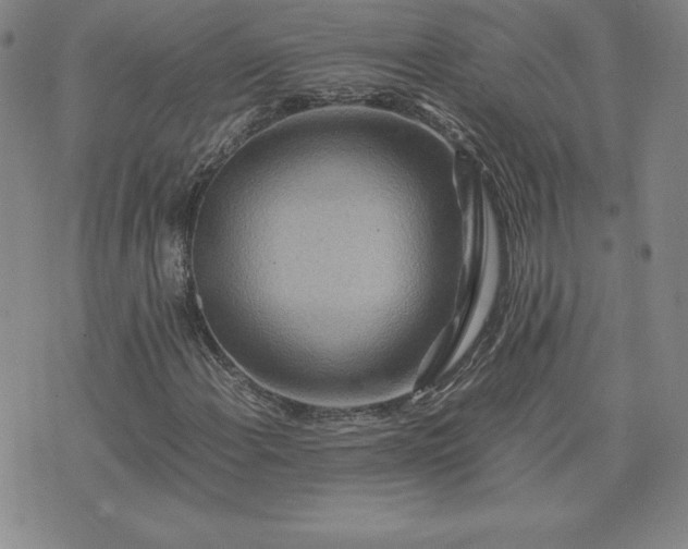 X0000075841108200609221658