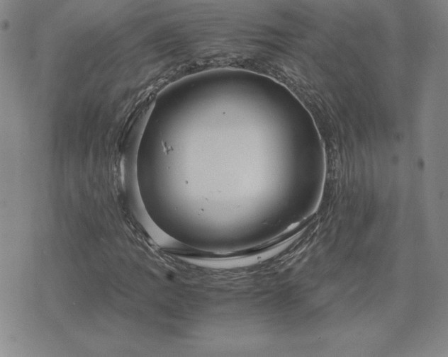 X0000075841109200609221658