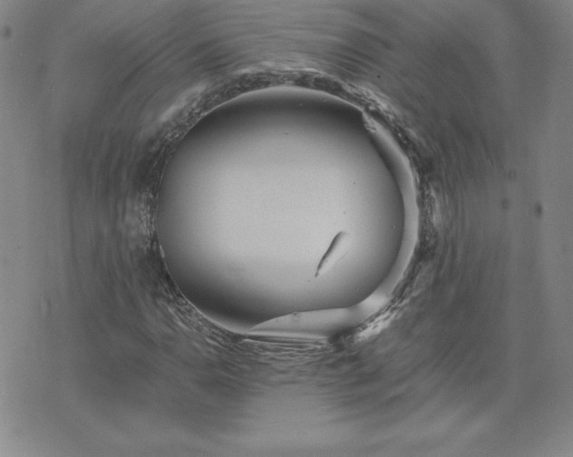 X0000075841110200609221658