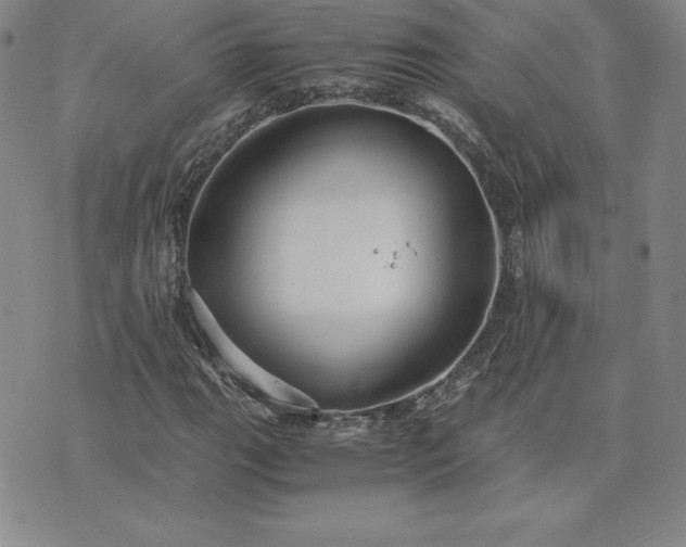 X0000075841111200609221658