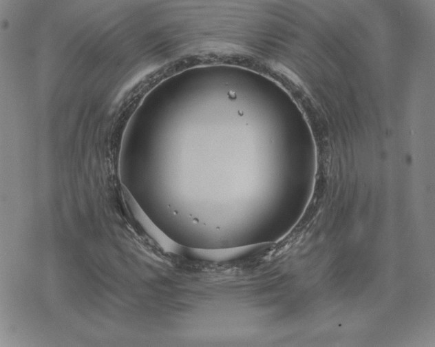 X0000075841112200609221658