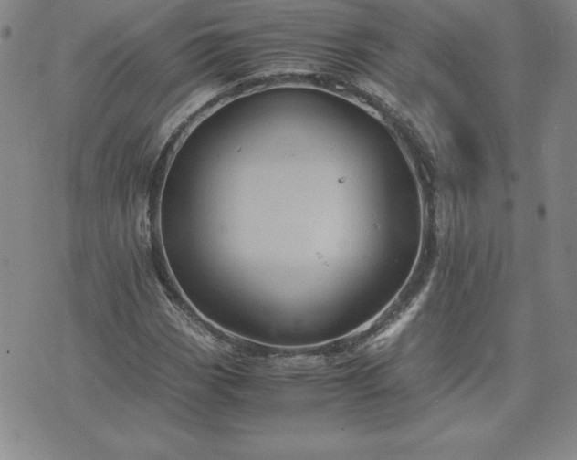 X0000075841113200609221658