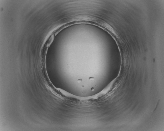 X0000075841116200609221658