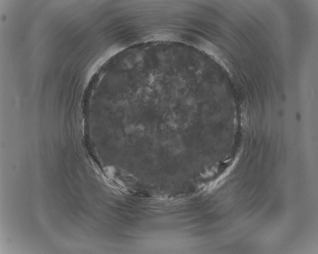 X0000075841117200609221658