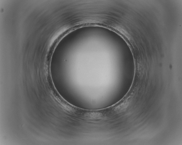 X0000075841119200609221658