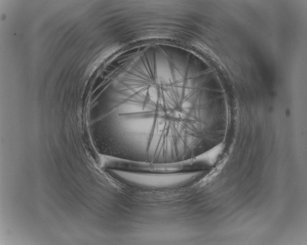 X0000075841121200609221658