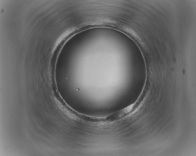 X0000075841122200609221658