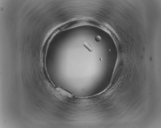 X0000075841124200609221658