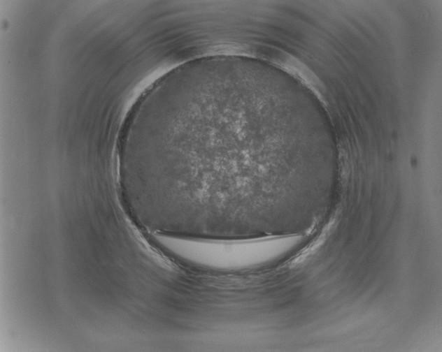 X0000075841125200609221658