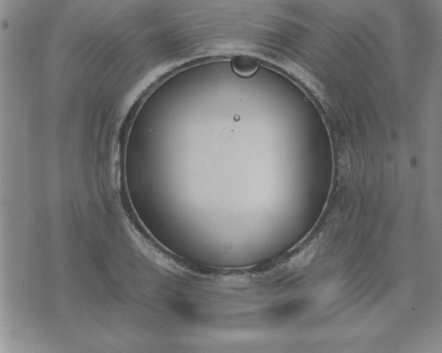 X0000075841126200609221658