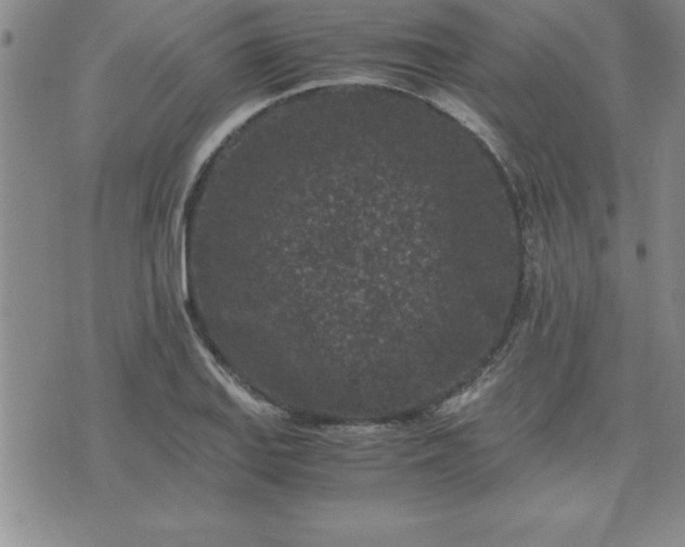 X0000075841127200609221658