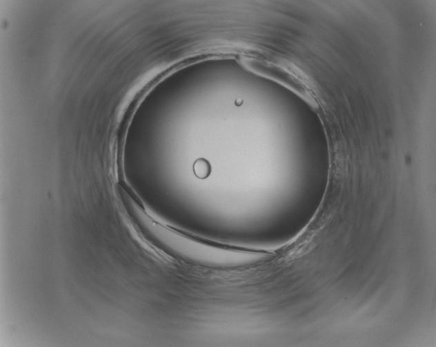 X0000075841128200609221658