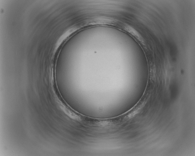 X0000075841130200609221658