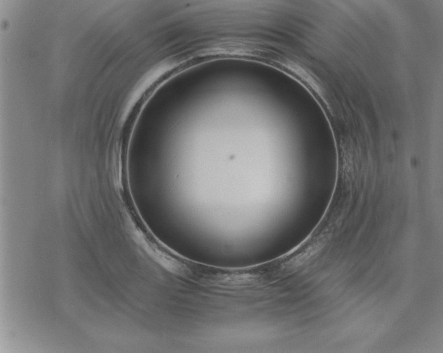 X0000075841131200609221658