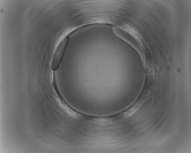 X0000075841132200609221658