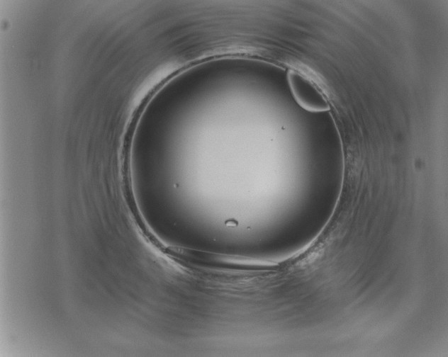 X0000075841135200609221658