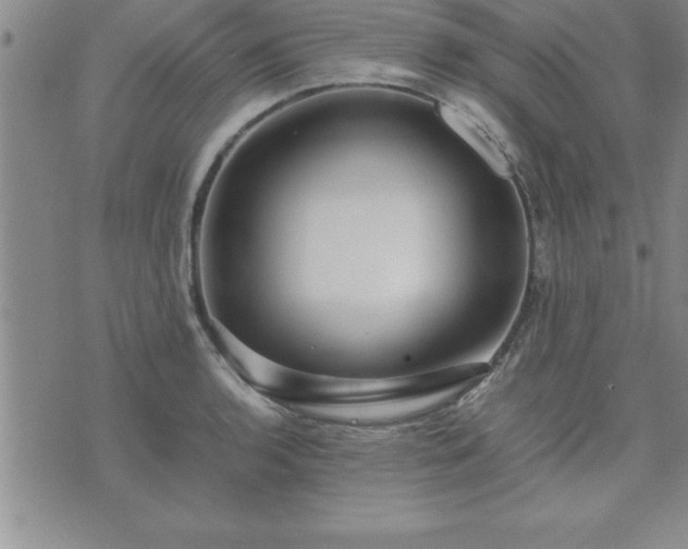 X0000075841136200609221658