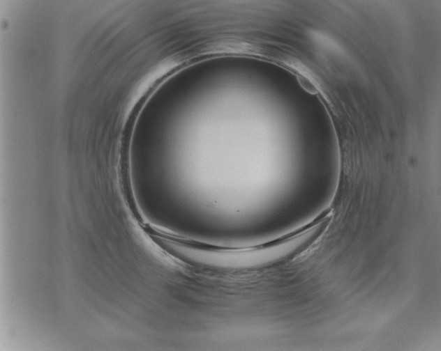 X0000075841139200609221658