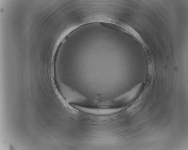 X0000075841144200609221658