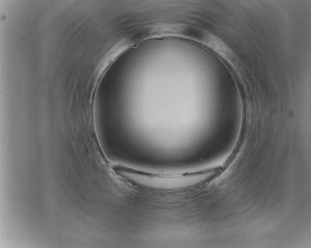 X0000075841145200609221658