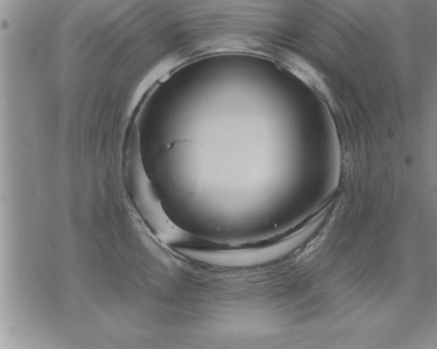 X0000075841146200609221658