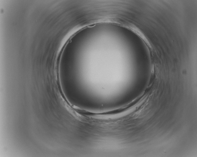 X0000075841148200609221658