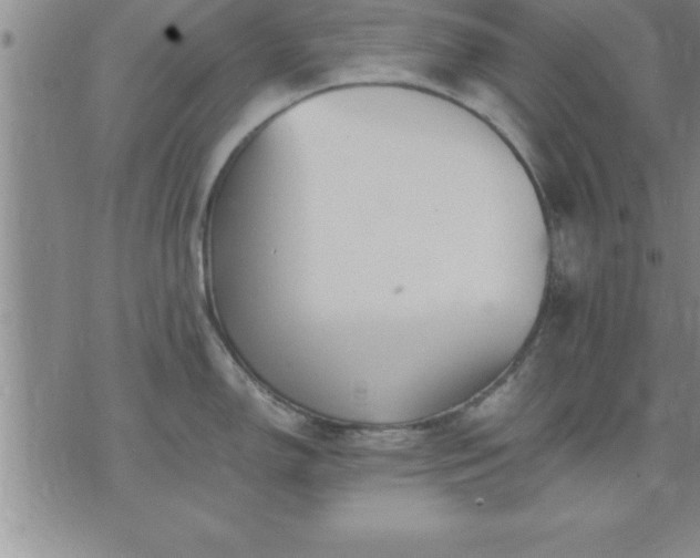 X0000075841150200609221659