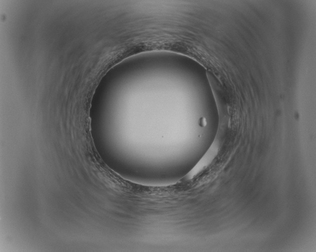 X0000075841153200609221658