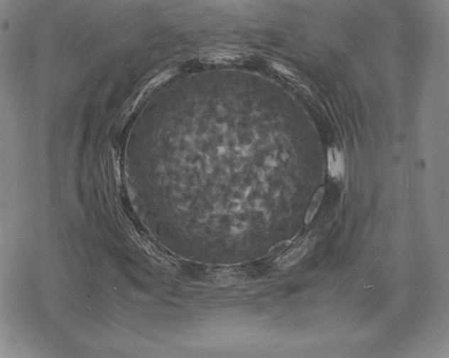 X0000075841155200609221658