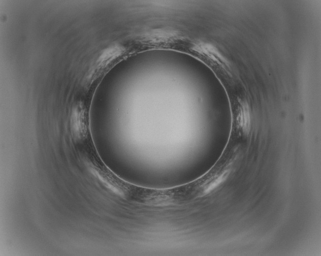 X0000075841156200609221658