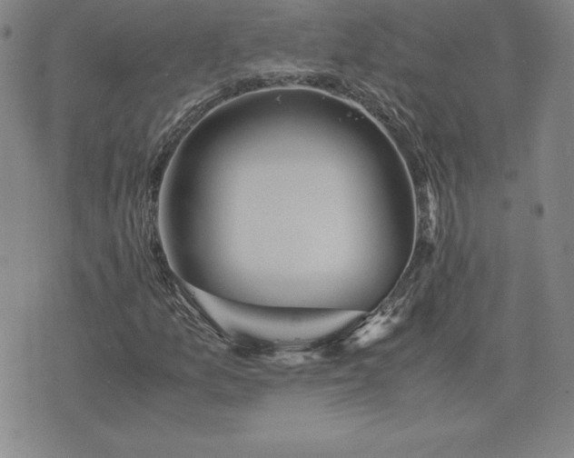 X0000075841157200609221658