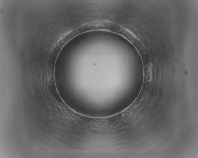 X0000075841158200609221658