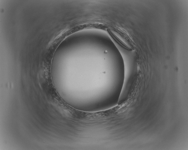 X0000075841159200609221658