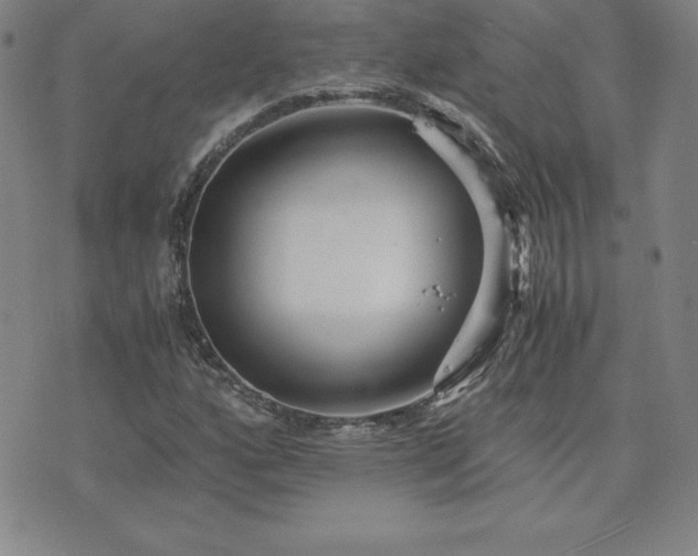 X0000075841160200609221658