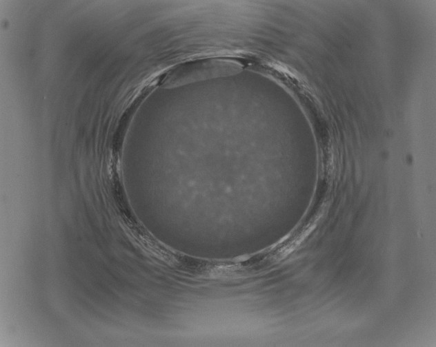 X0000075841161200609221658