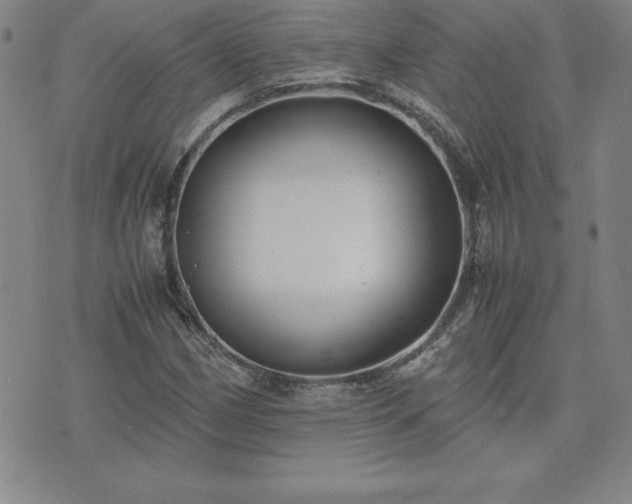 X0000075841162200609221658