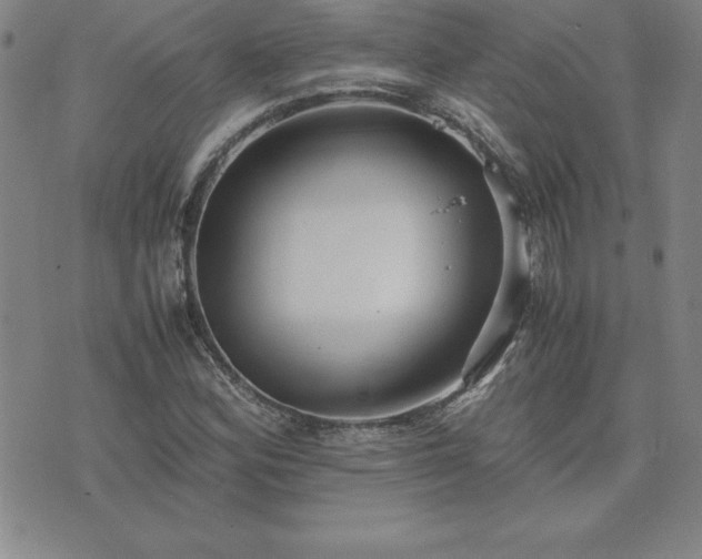 X0000075841164200609221658