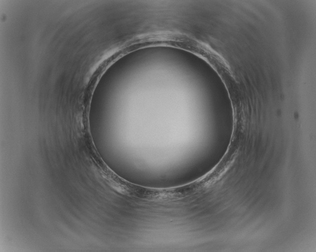 X0000075841166200609221658