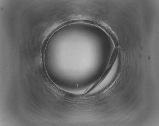 X0000075841167200609221658