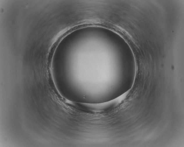 X0000075841168200609221658