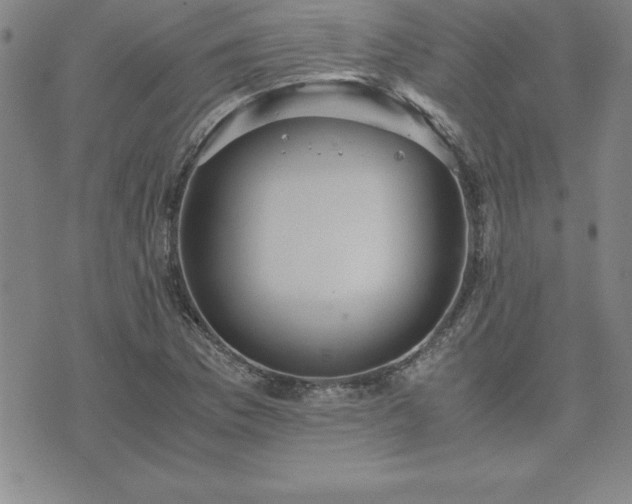 X0000075841169200609221658