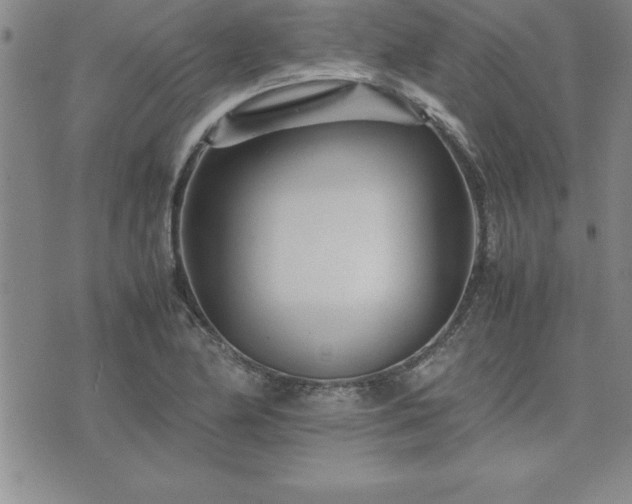 X0000075841174200609221657