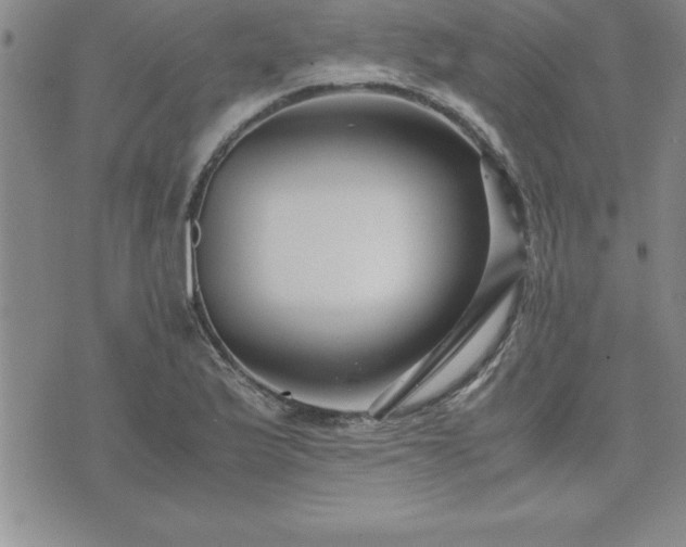 X0000075841175200609221657