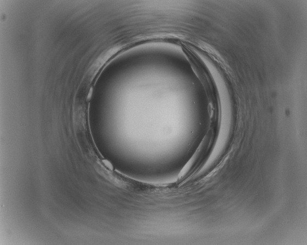 X0000075841177200609221657