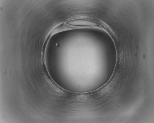 X0000075841178200609221657