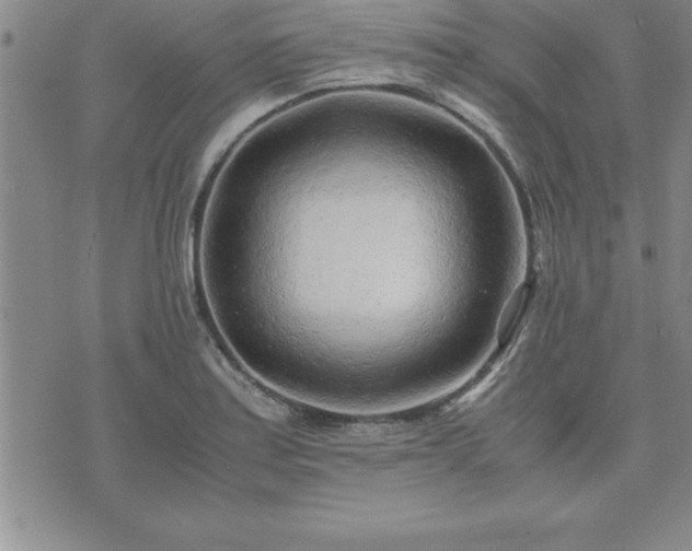 X0000075841179200609221657