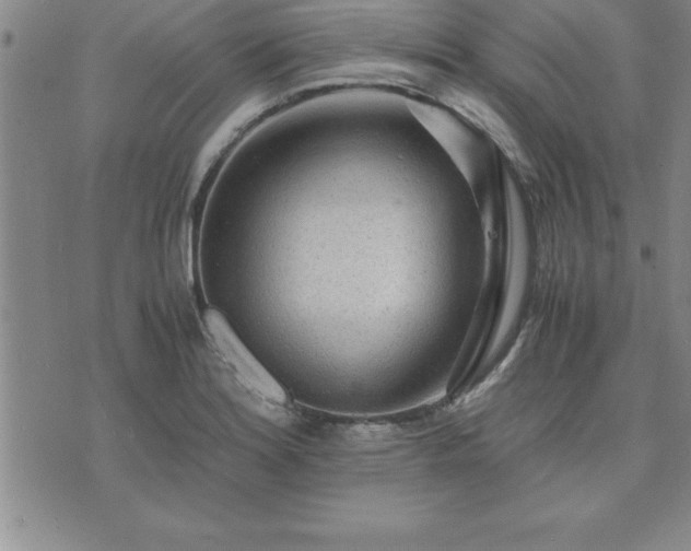 X0000075841180200609221657