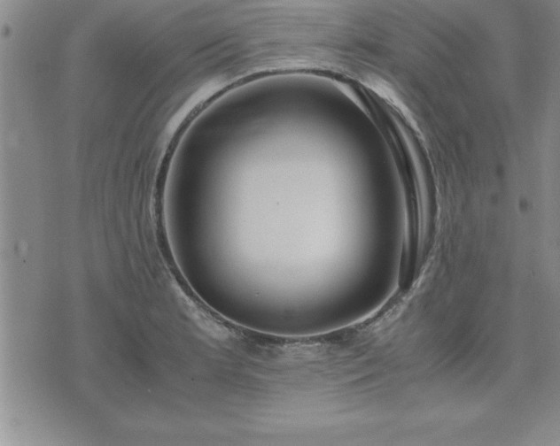 X0000075841181200609221657