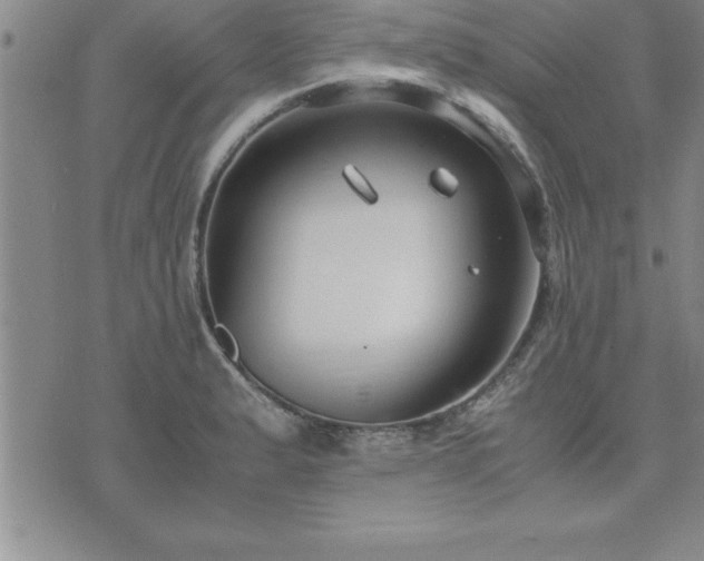 X0000075841183200609221657