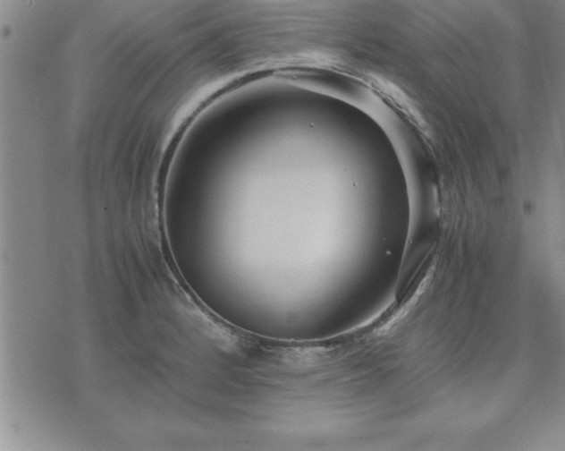 X0000075841184200609221657